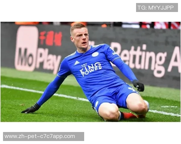 秃顶足球员的传奇人生与赛场风采揭秘 秃顶足球员的传奇人生与赛场风采揭秘