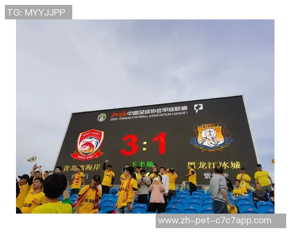 豆趣足球带你领略足球魅力尽享激情与乐趣的全新体验