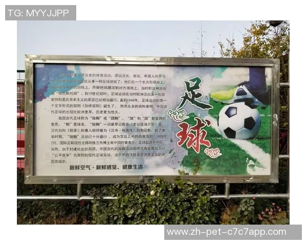 足球校园文化的传承与发展探索促进学生全面素质提升的路径研究 足球校园文化的传承与发展探索促进学生全面素质提升的路径研究